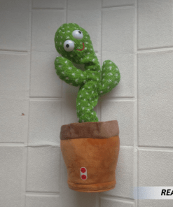 Cactus Bailarín