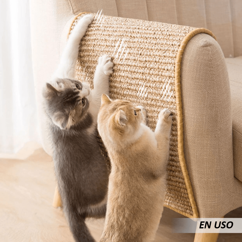 Alfombrilla rascador de Gatos - Imagen 5